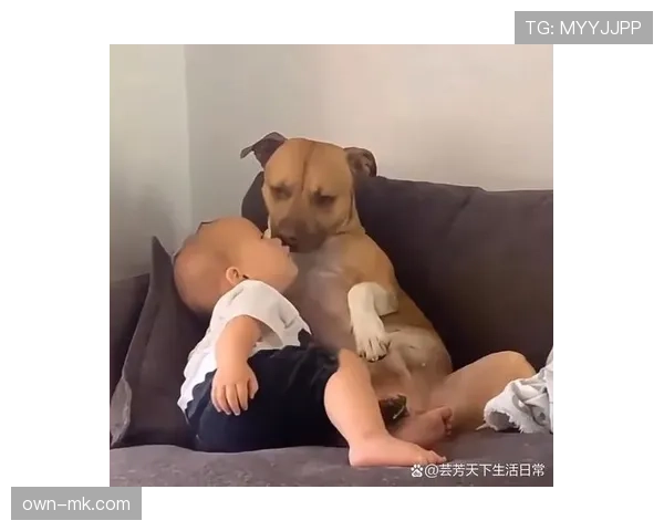 拉菲尼亚家庭生活曝光：温馨时刻与亲密瞬间引发广泛关注