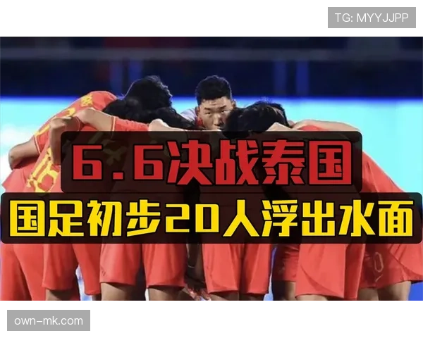 泰国国家队挺进世预赛，球迷热情高涨彰显团队实力