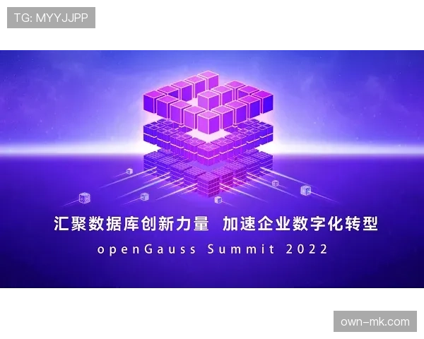 比利时技术流驱动数字化转型,崛起为足球领域新兴力量 比利时技术流驱动数字化转型,崛起为足球领域新兴力量