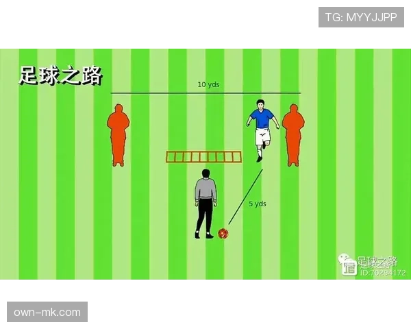 格纳布里技术特点解析：速度突破与射门效率持续提升