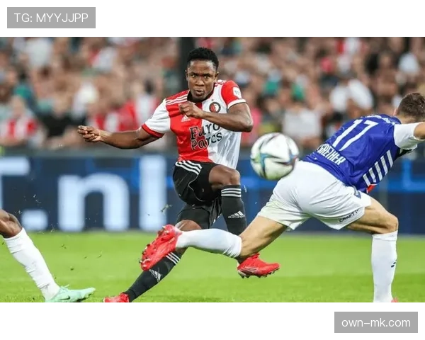 海伦芬逼抢体系